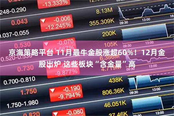 京海策略平台 11月最牛金股涨超60%！12月金股出炉 这些板块“含金量”高