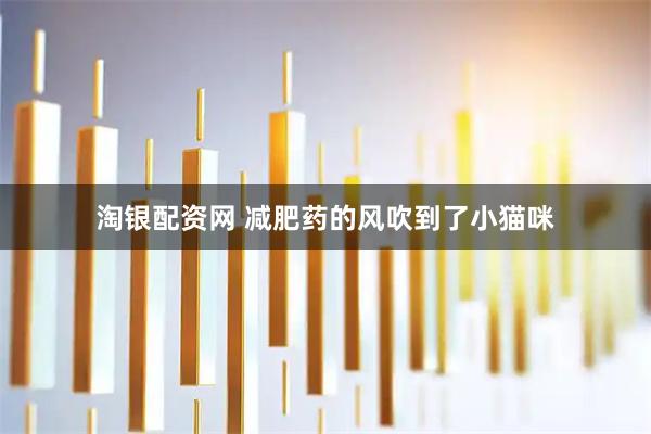 淘银配资网 减肥药的风吹到了小猫咪