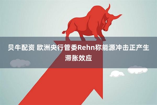 贝牛配资 欧洲央行管委Rehn称能源冲击正产生滞胀效应