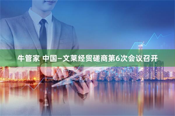 牛管家 中国—文莱经贸磋商第6次会议召开